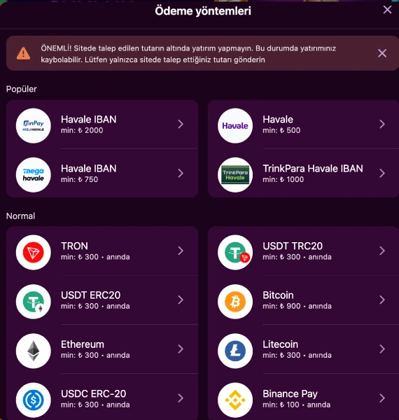 Lüx Casino deposit channel list A list of bank-transfer and crypto payment options grouped into Popular and Normal sections